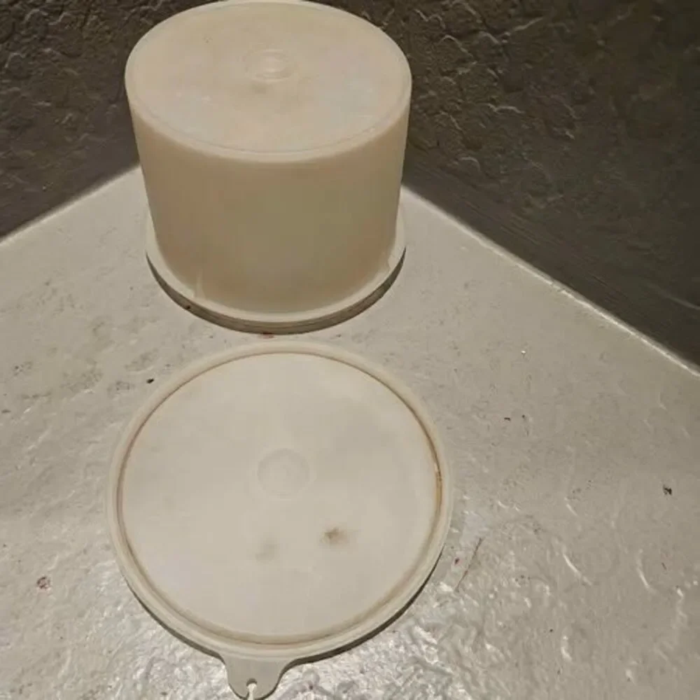 Vintage Tupperware Canister with Lid